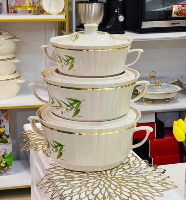 6C43C60B-6D87-48BE-88F8-65F14781DD87 Set de Plats Thermiques